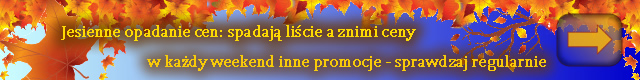 Polski Sklep Promocje