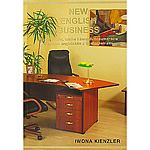 New English Business - Iwona Kienzler