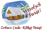 Polish Handmade Christmas Decorations - Wesolych Świat